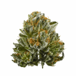 $100 OG Strain