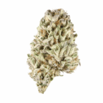 1024 Strain