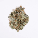 2 Fast 2 Vast Strain