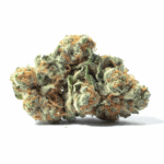 2090 Strain