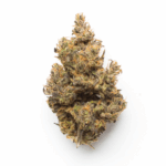 501st OG Strain