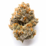 707 Truthband Strain