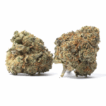 91 Royale Strain