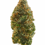 99 Problems Strain