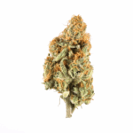 999 Strain