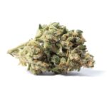 Acapulco Gold Strain