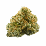 ACDC Strain