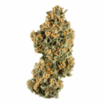 Acid Dawg Strain