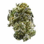 Afghan Diesel Strain