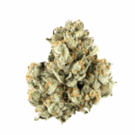 Afghan Kush Strain