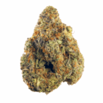 Afghani Strain