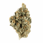 African Cheese Strain