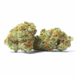 African Orange Strain