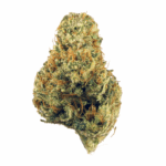 Albert Walker Strain