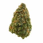 Alien Asshat Strain