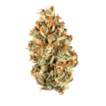 Alien Burger Strain