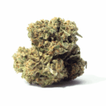 Alien Dawg Strain