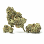 Alien Fruit Strain