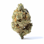 Alien Gorilla Strain