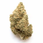 Alien Reunion Strain