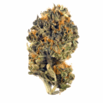 Alien Stardawg Strain