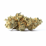 Alien Technology Strain