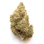 Alien Walker Strain
