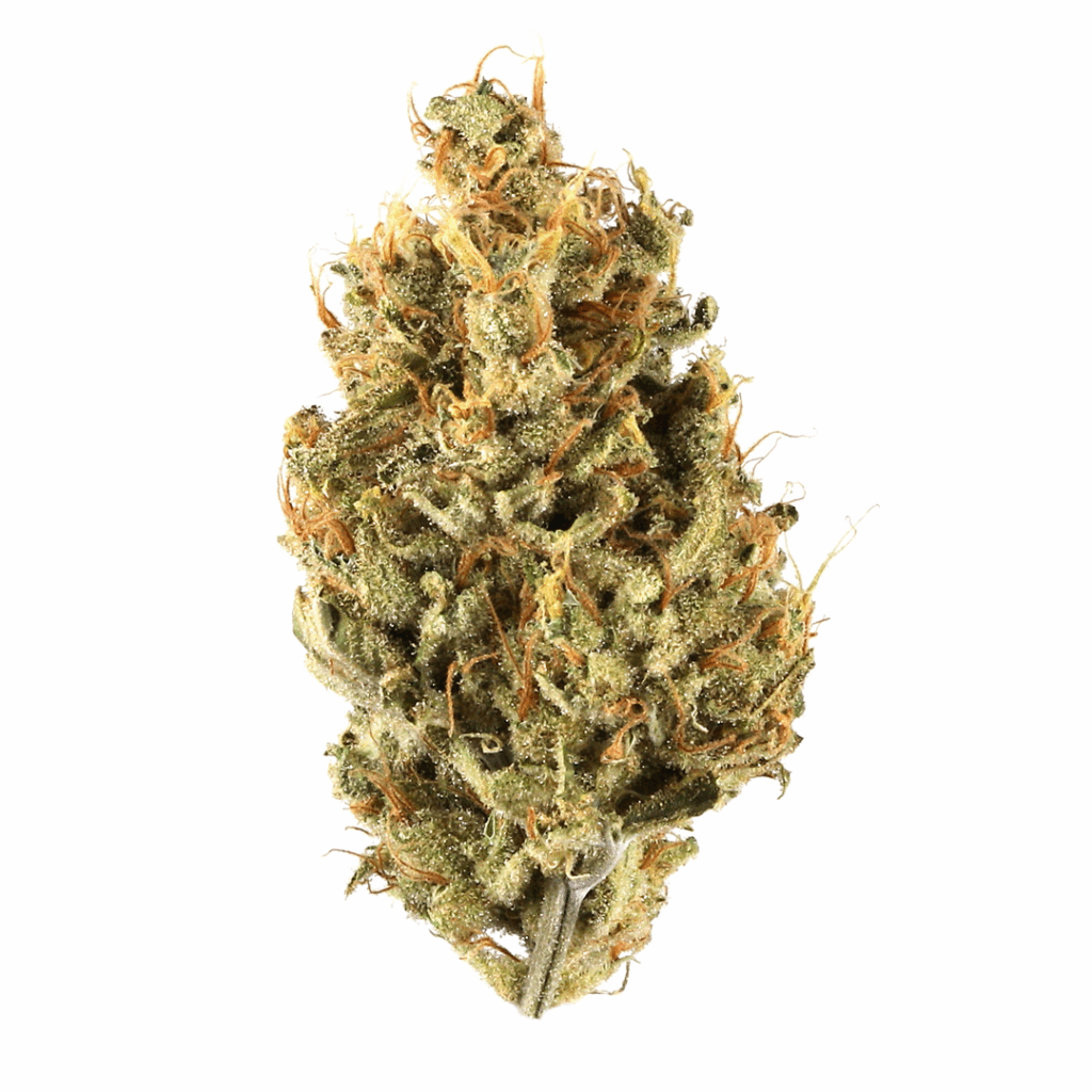 Aliens On Moonshine Strain