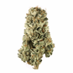 Alpha Centauri Strain