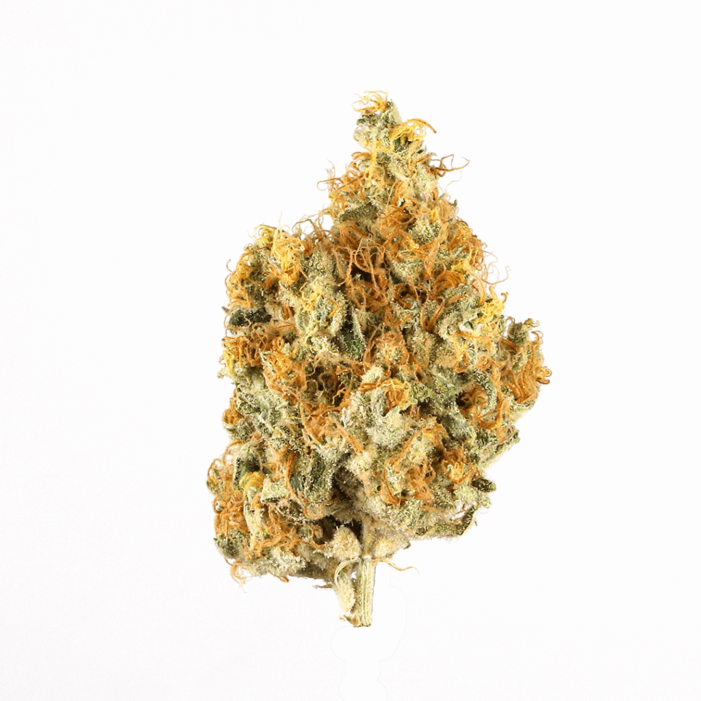 Amaretto Sour Strain