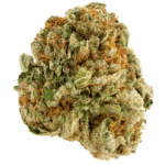 American Kush Strain