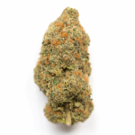 Americano Strain