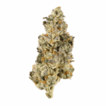AMG Strain