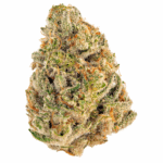 Amnesi-K Lemon Strain