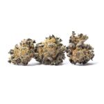 Animal Cookies Strain