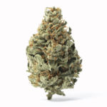 Anunnaki Strain