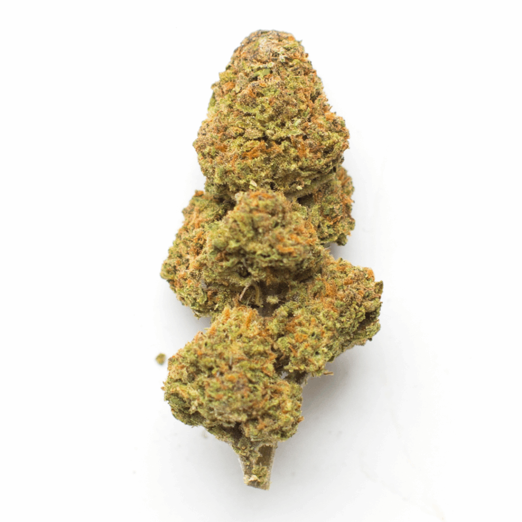 Apple Butter Strain