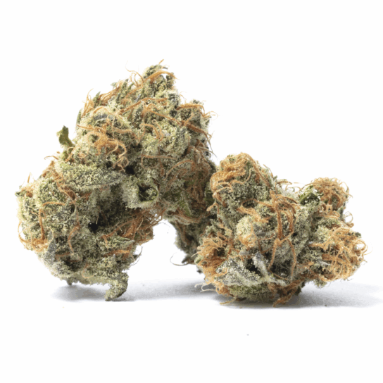 Apricot Stomper Strain