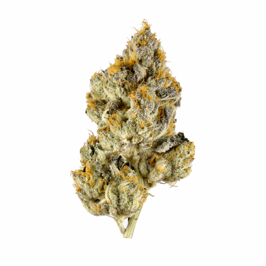 Arcata Trainwreck Strain