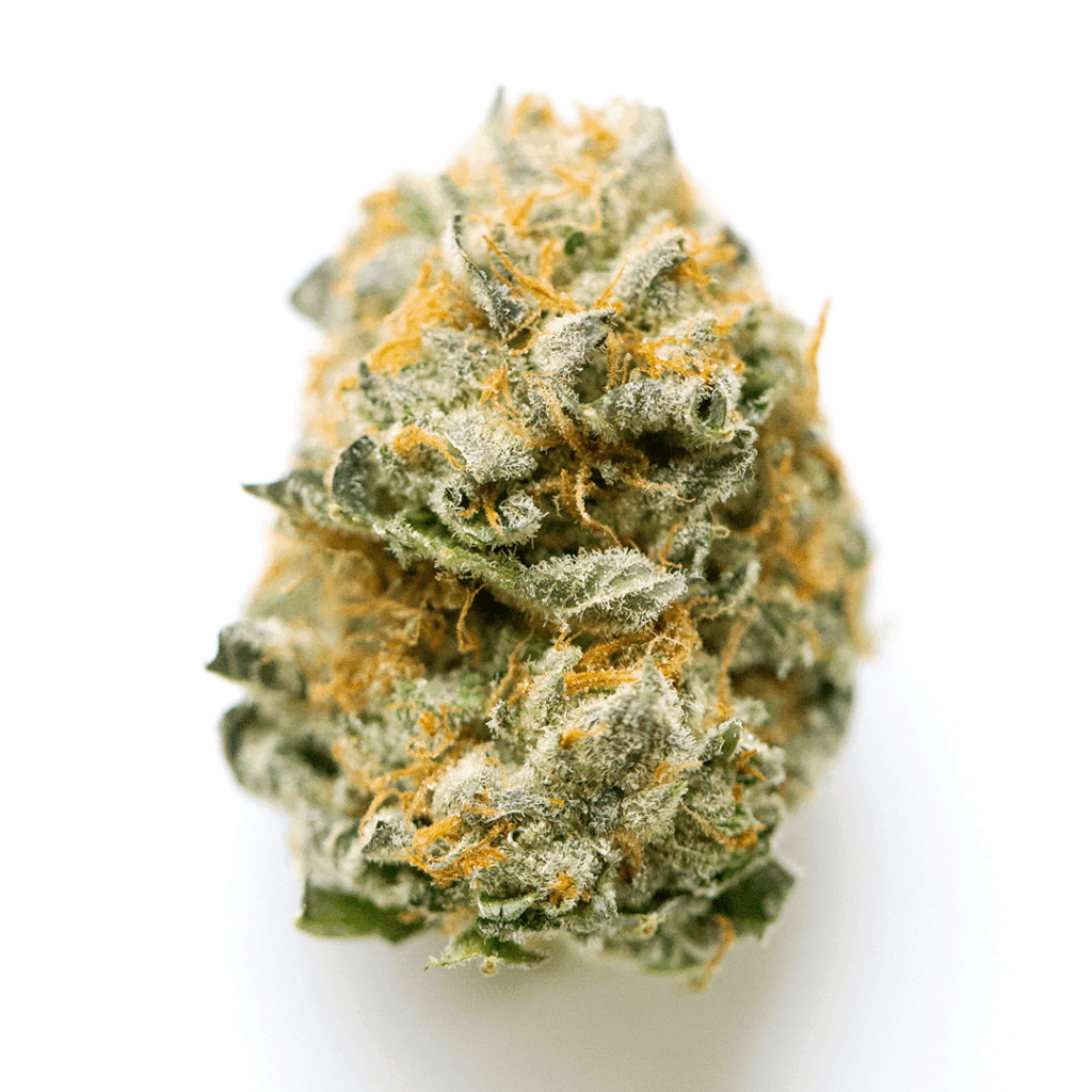 ArcticBlue Strain