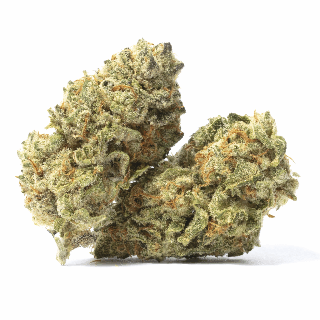Ash Strain