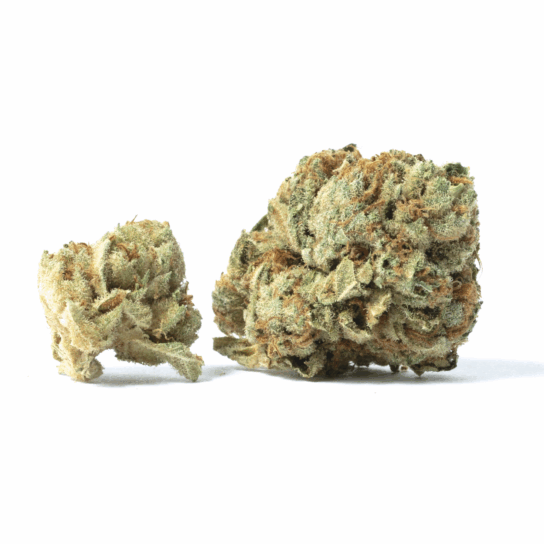 Atlantic Kush Strain