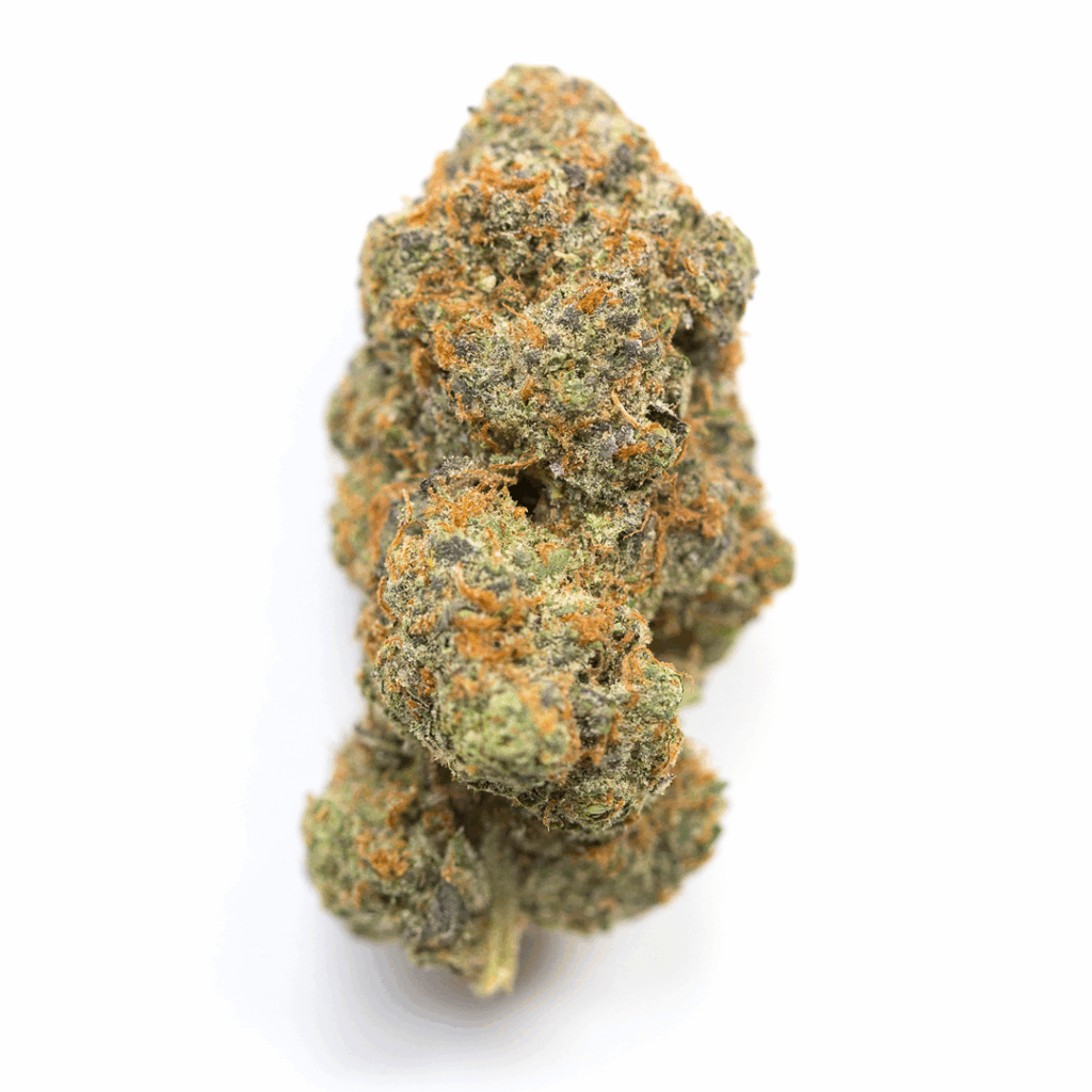 Atomic Goat Strain