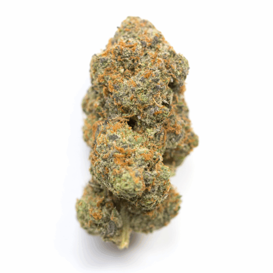 Atomic Goat Strain