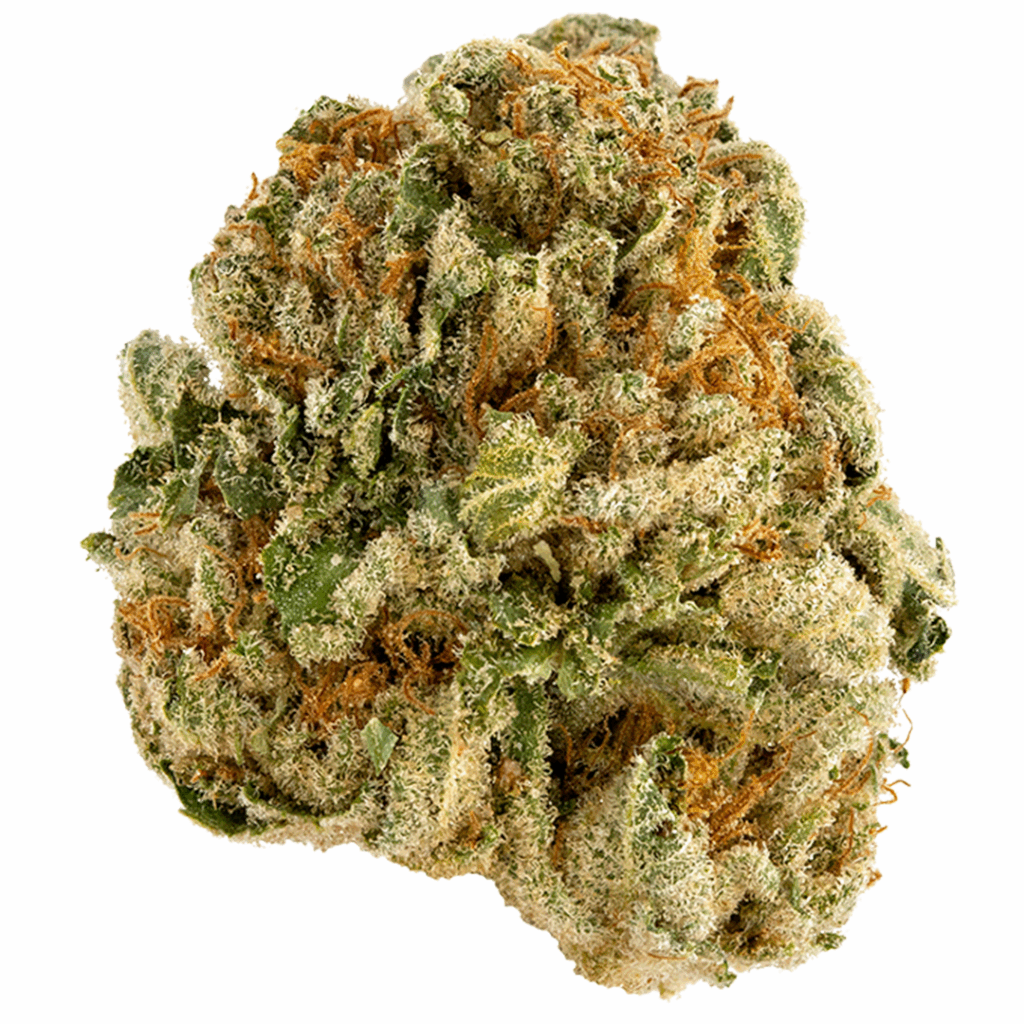 Aurora Chem Haze Strain