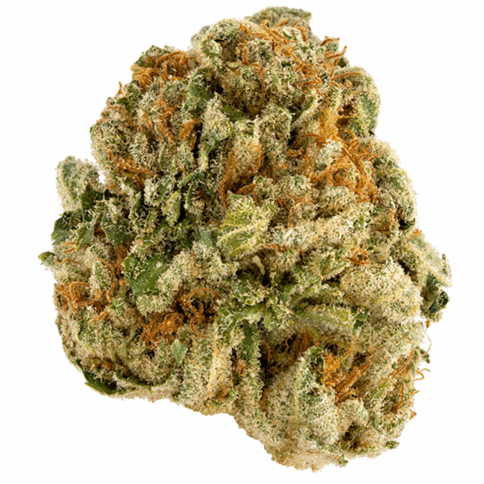 Aurora Chem Haze Strain