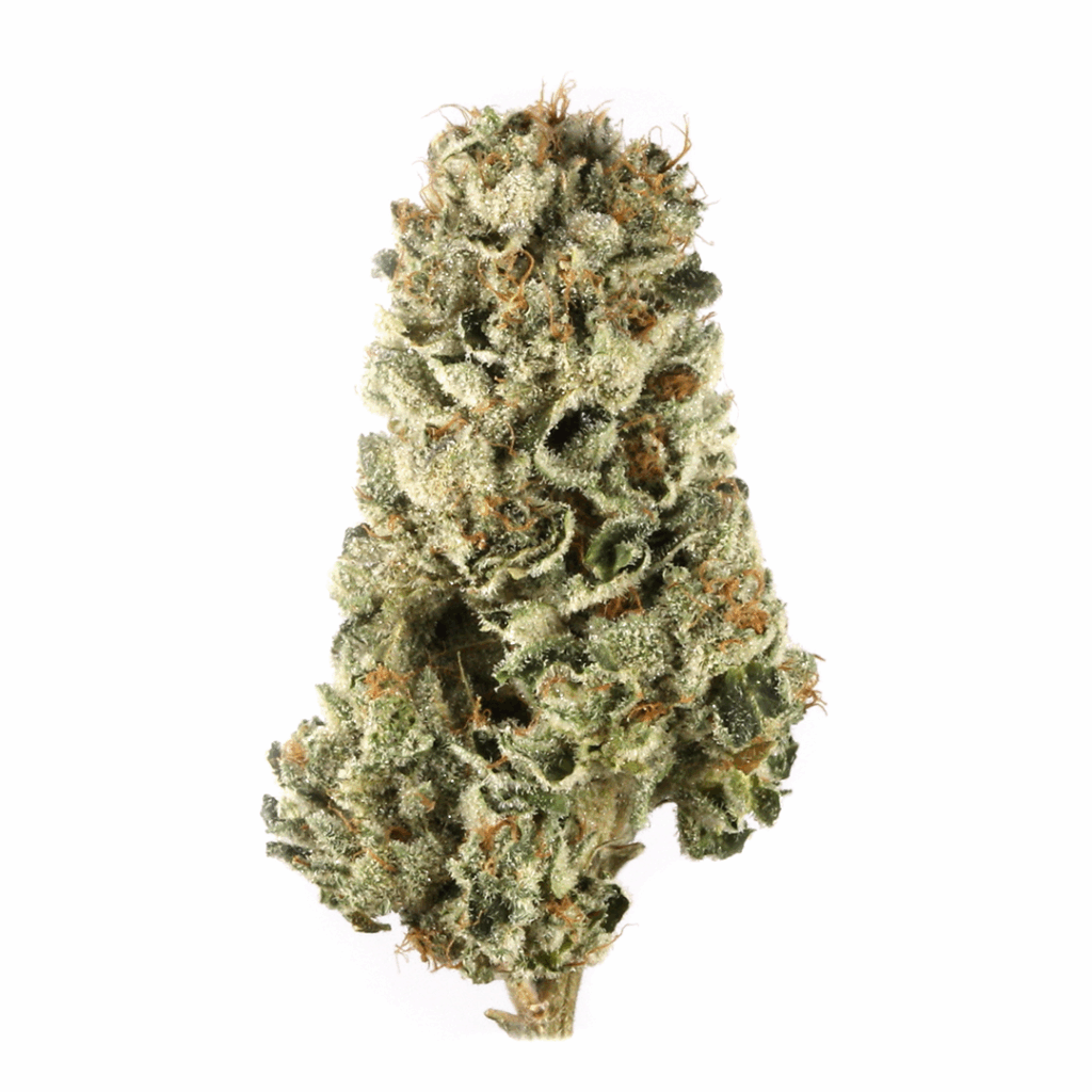 Aurora Haze Strain