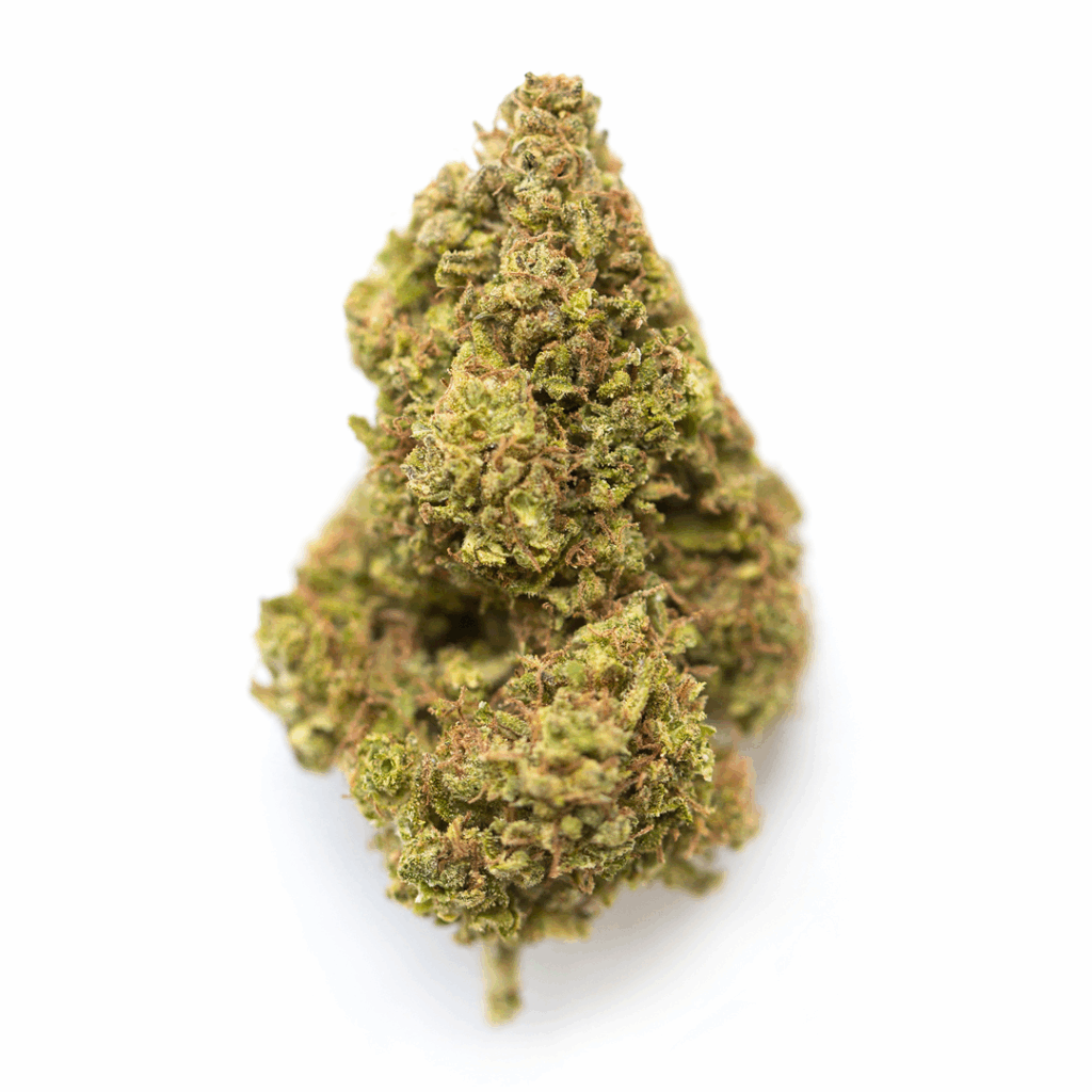 Avi Strain