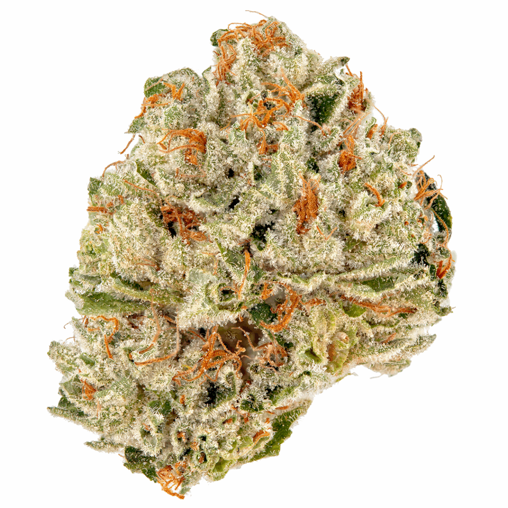 B-Cyde Strain