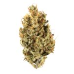 Afrodite Strain